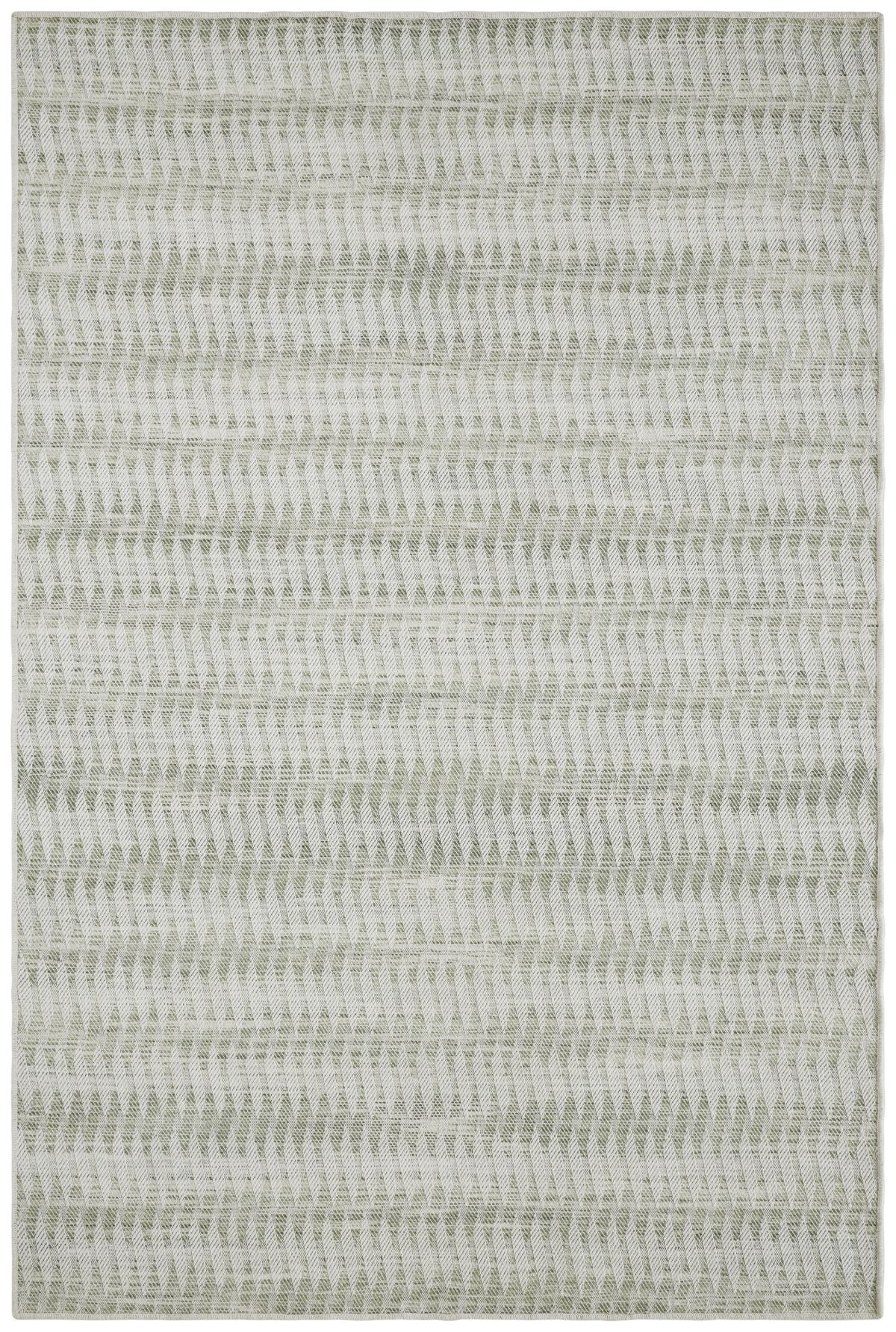 3 Fern