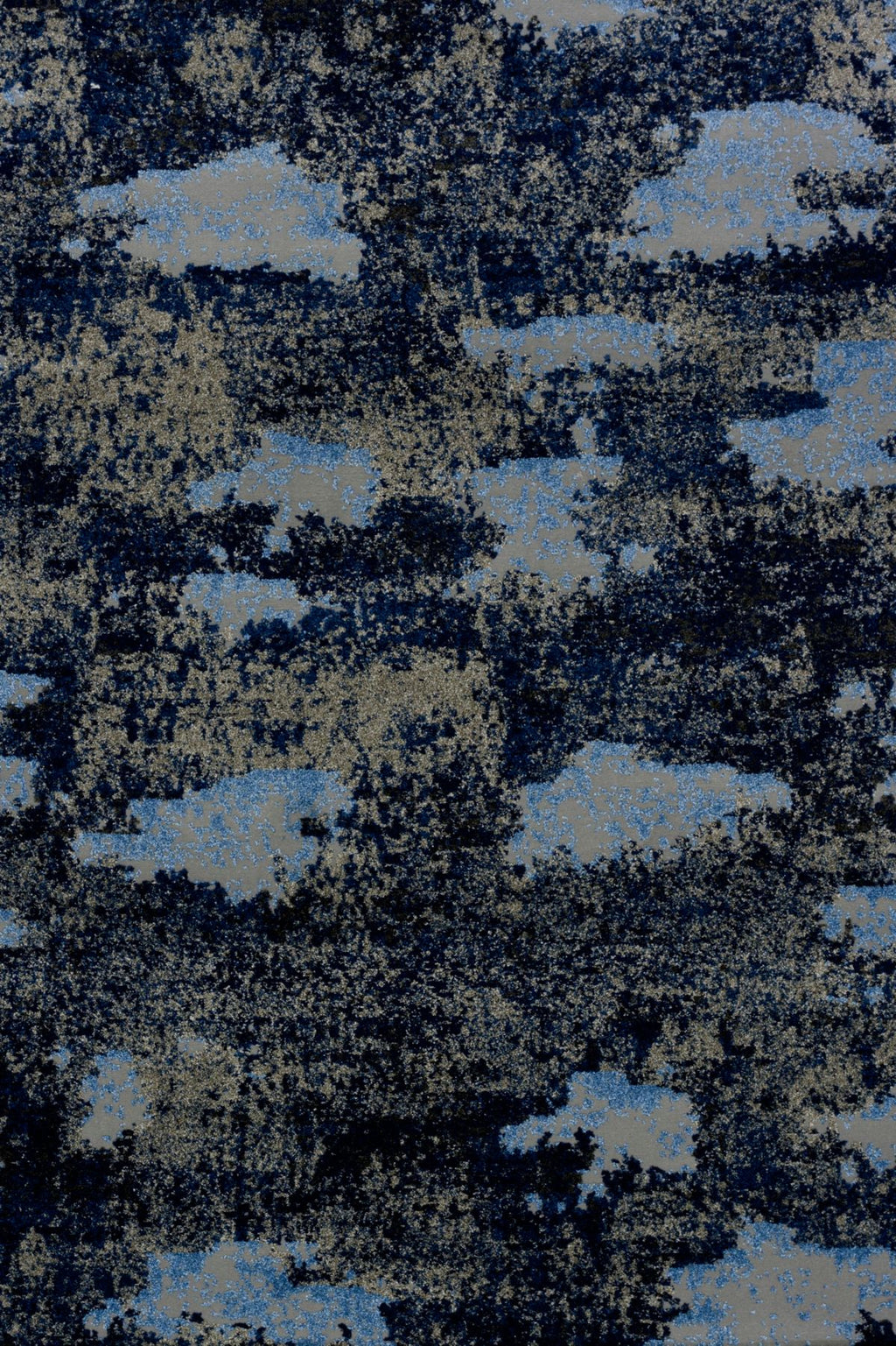 T01000895_ALT2