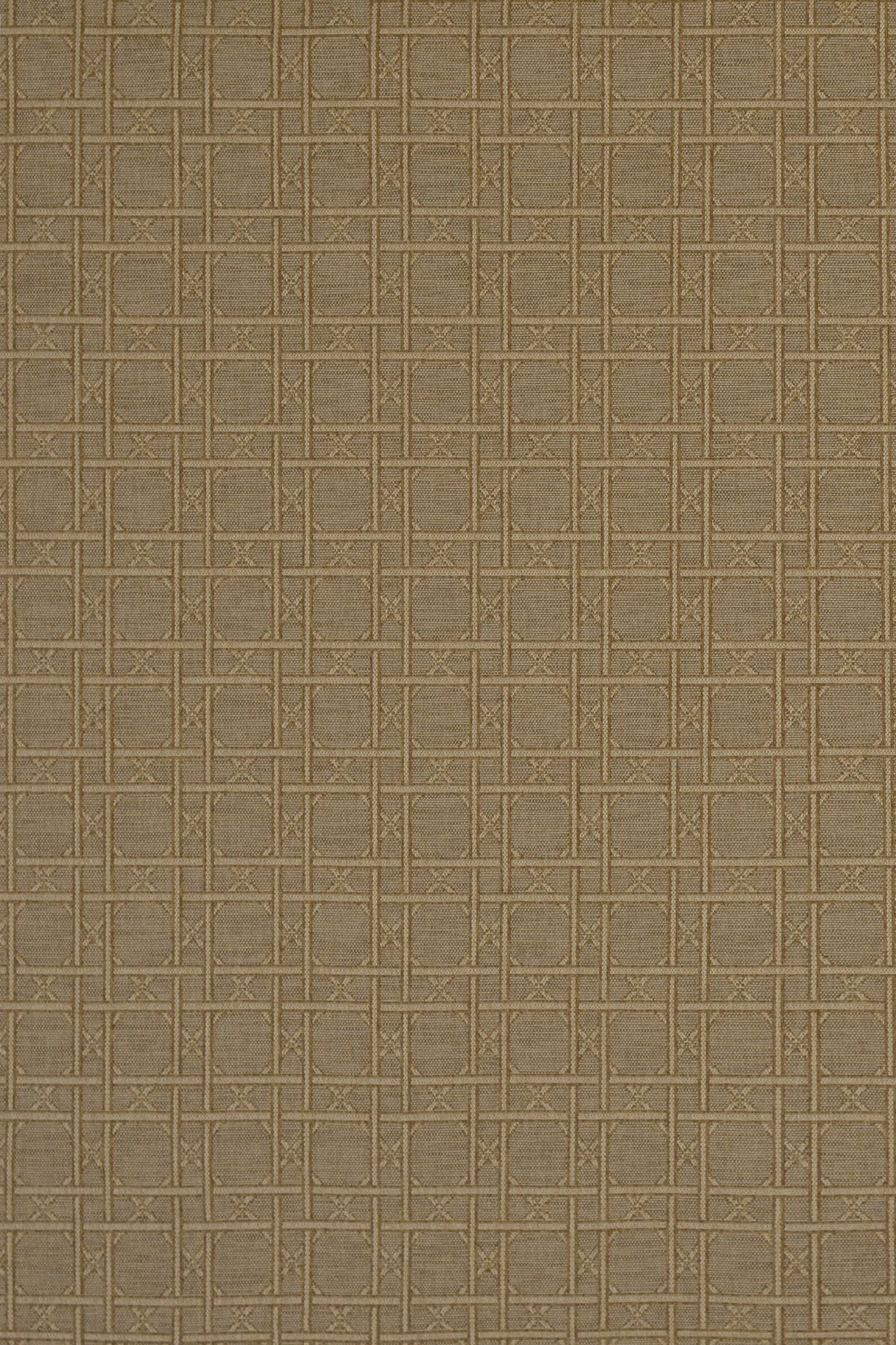 T01001569_ALT2