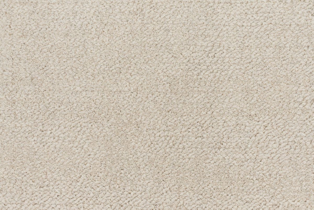 T01005590_CL