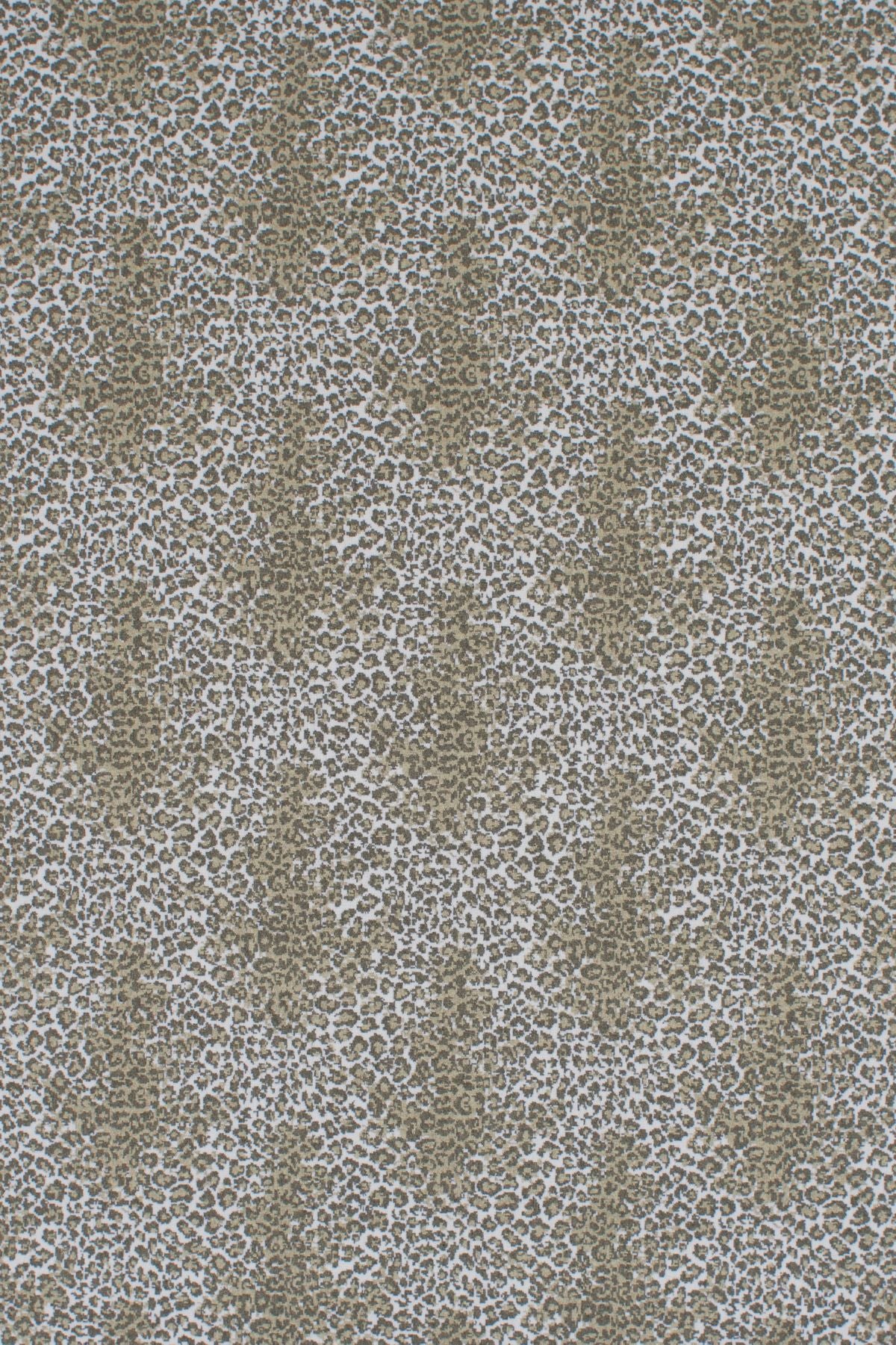 T01006837_ALT2
