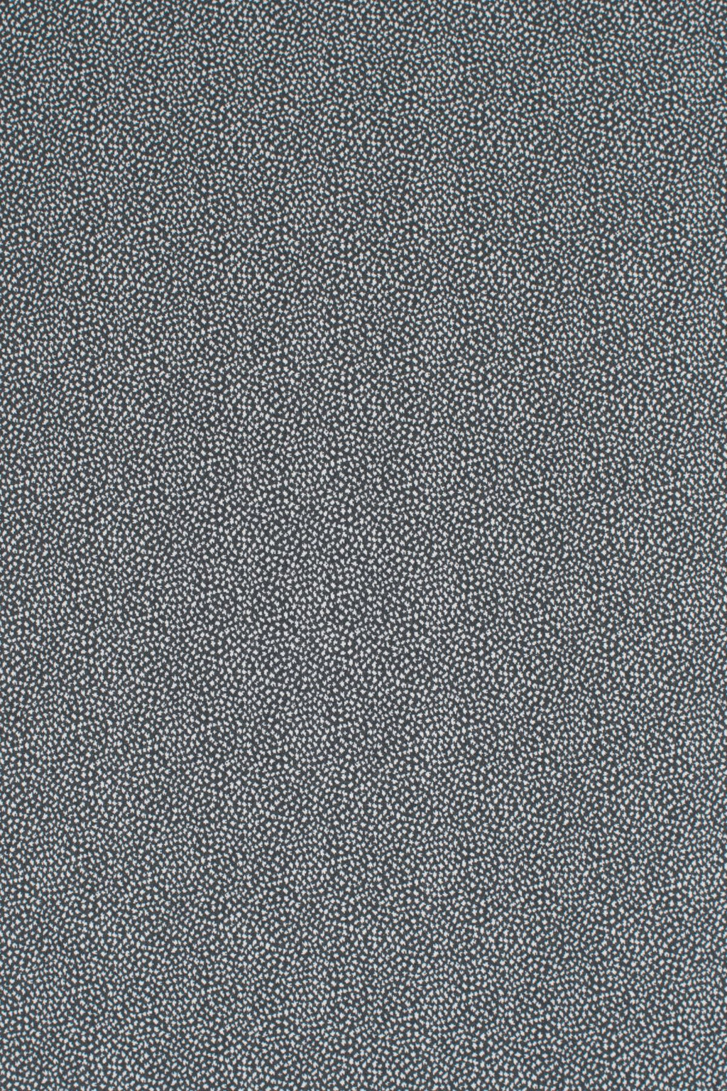 T01006983_ALT2