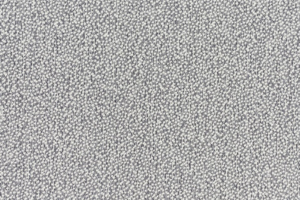T01009905_CL