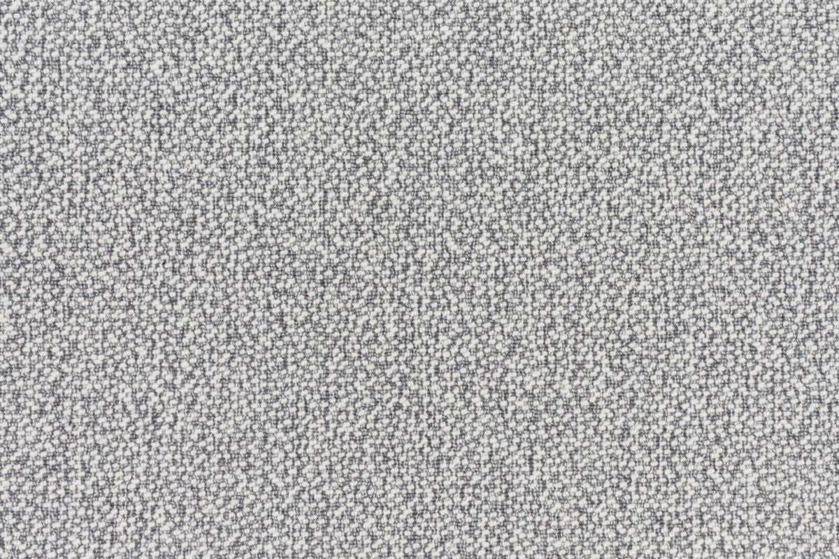 T01009905_CL