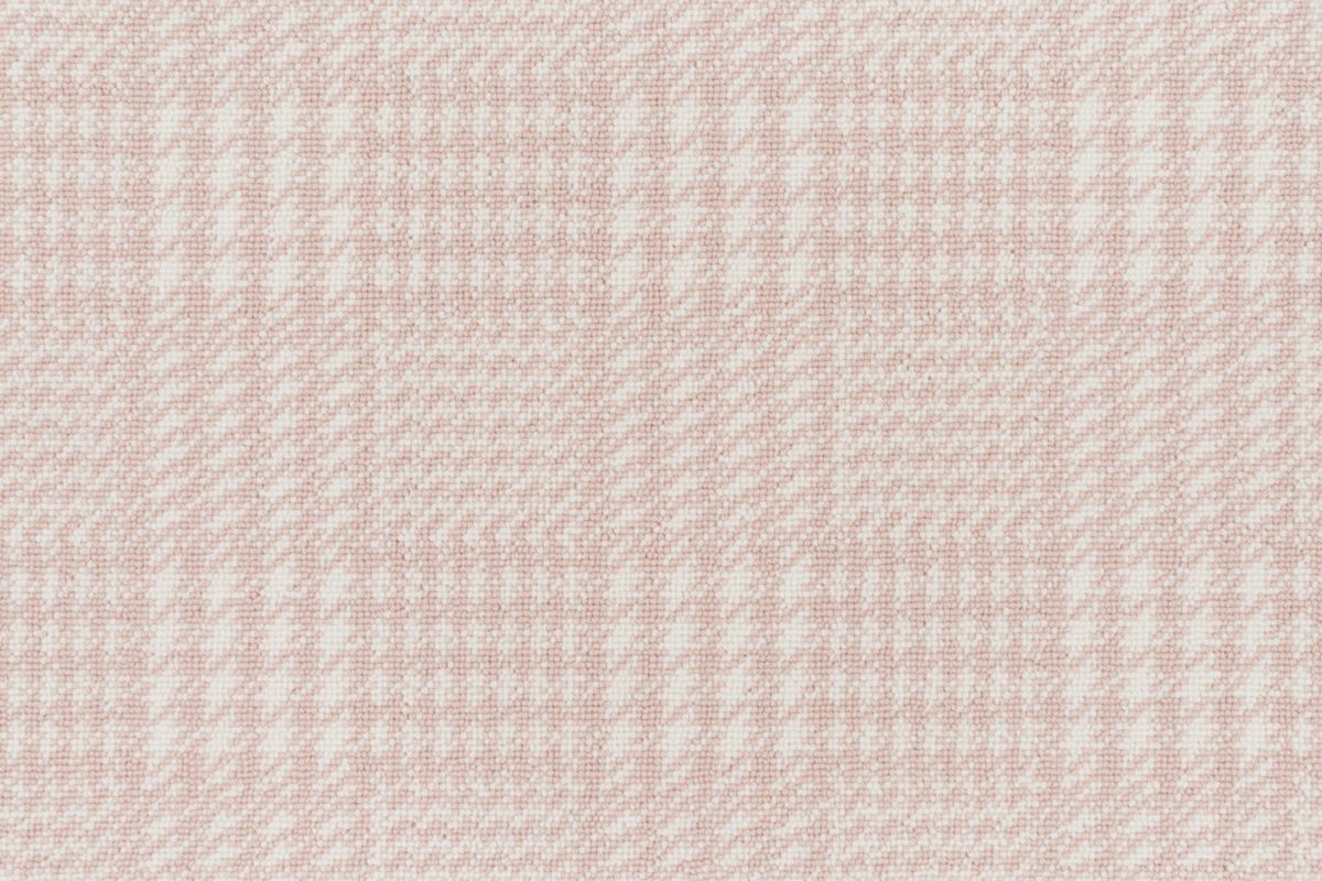 T01010236_CL