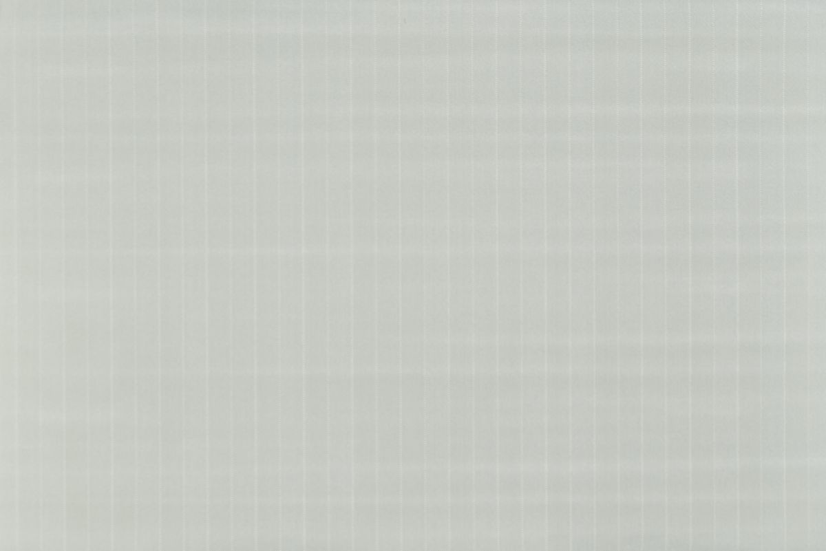 T01010389_ALT2