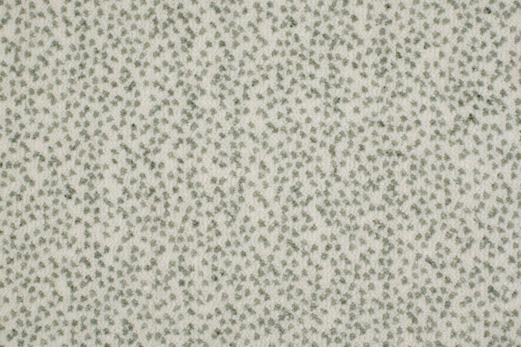 T01010729_CL