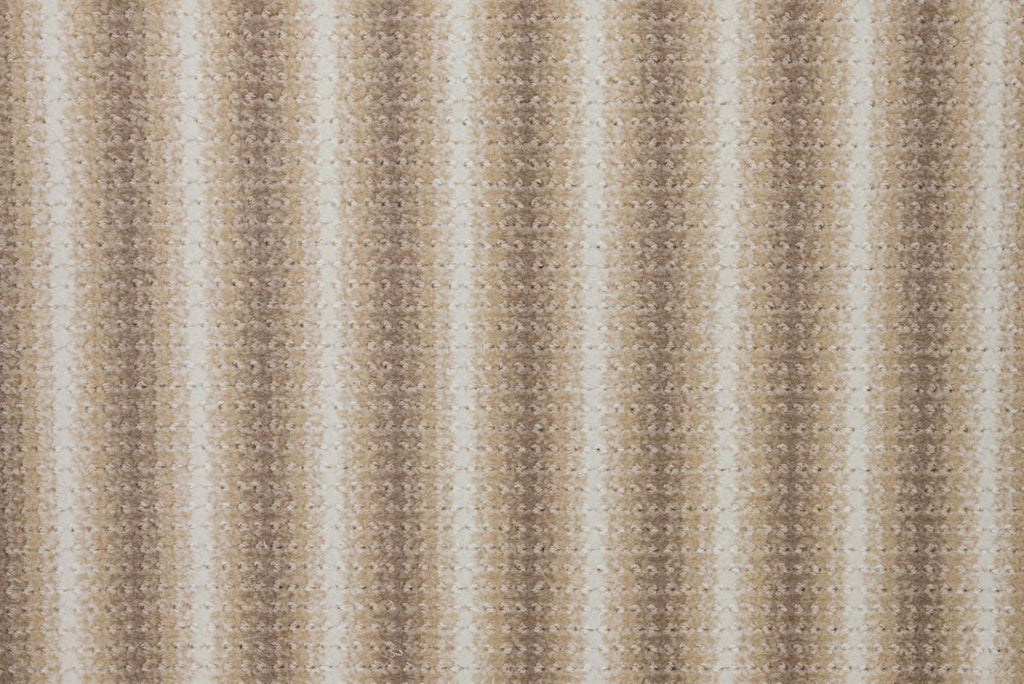 T01013539_CL