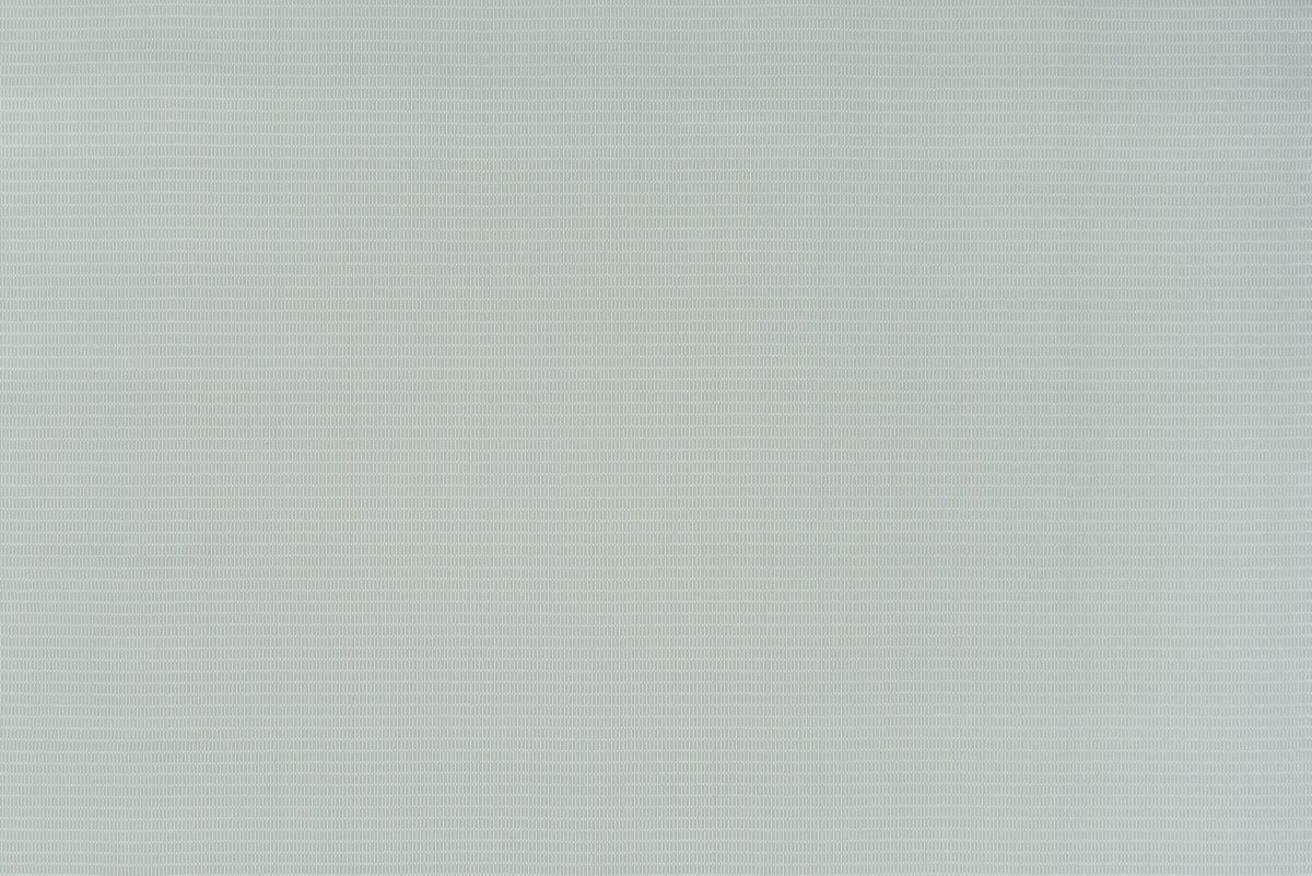 T01015124_ALT2